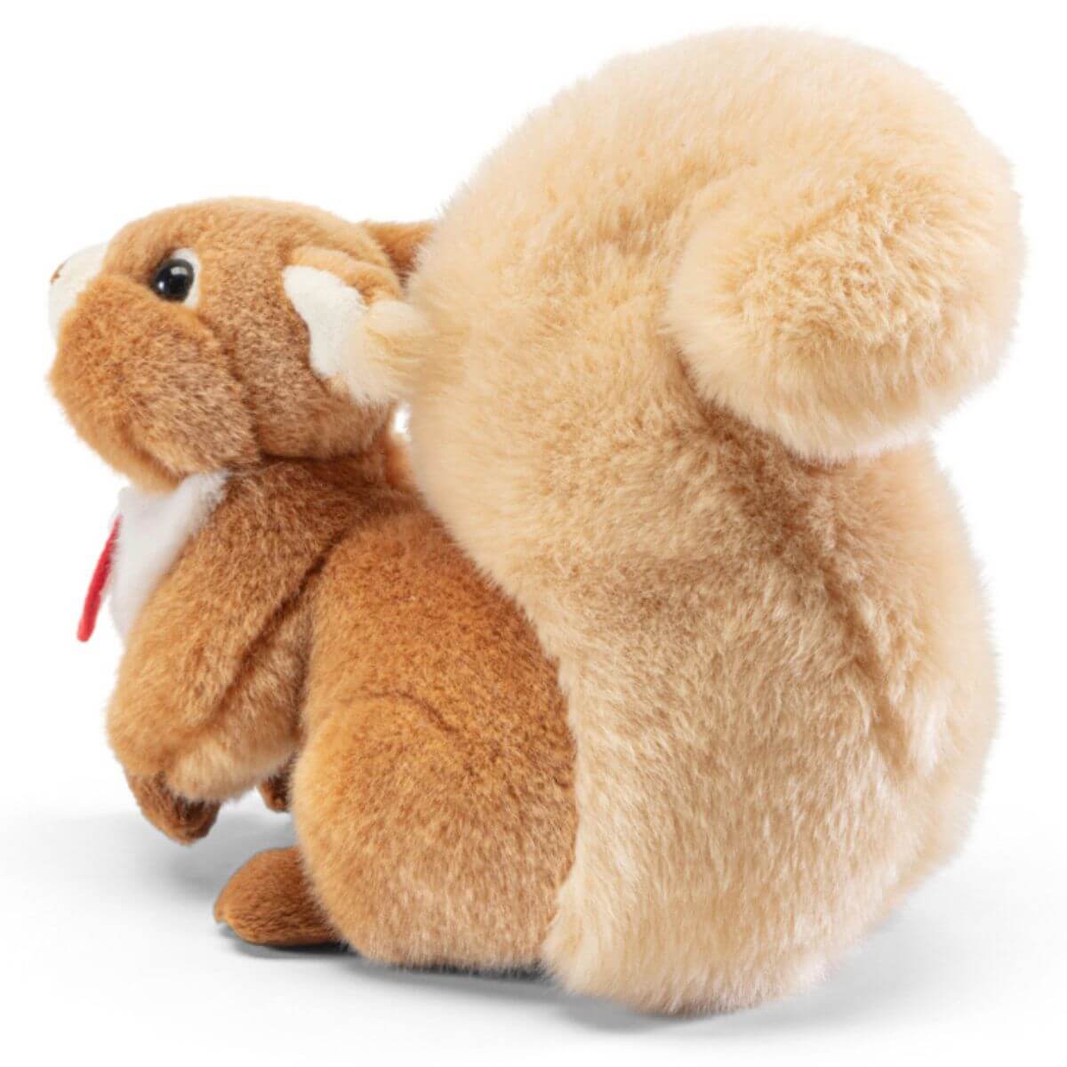 Ardilla Ginger S