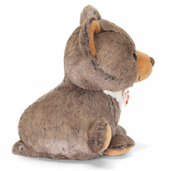 Bussini Oso S