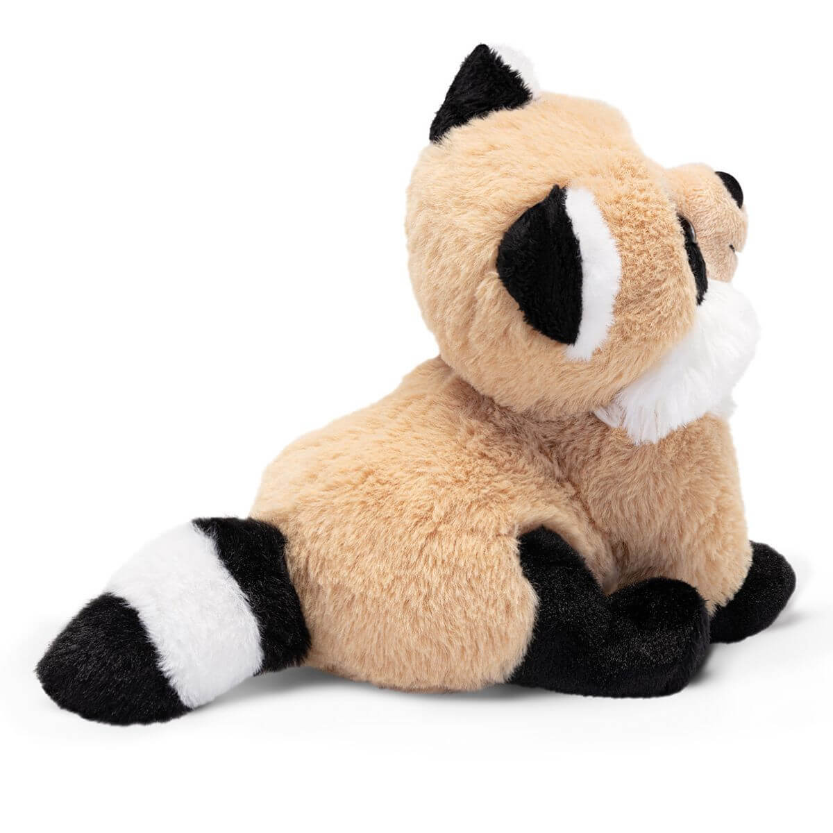 Cachorro Mapache
