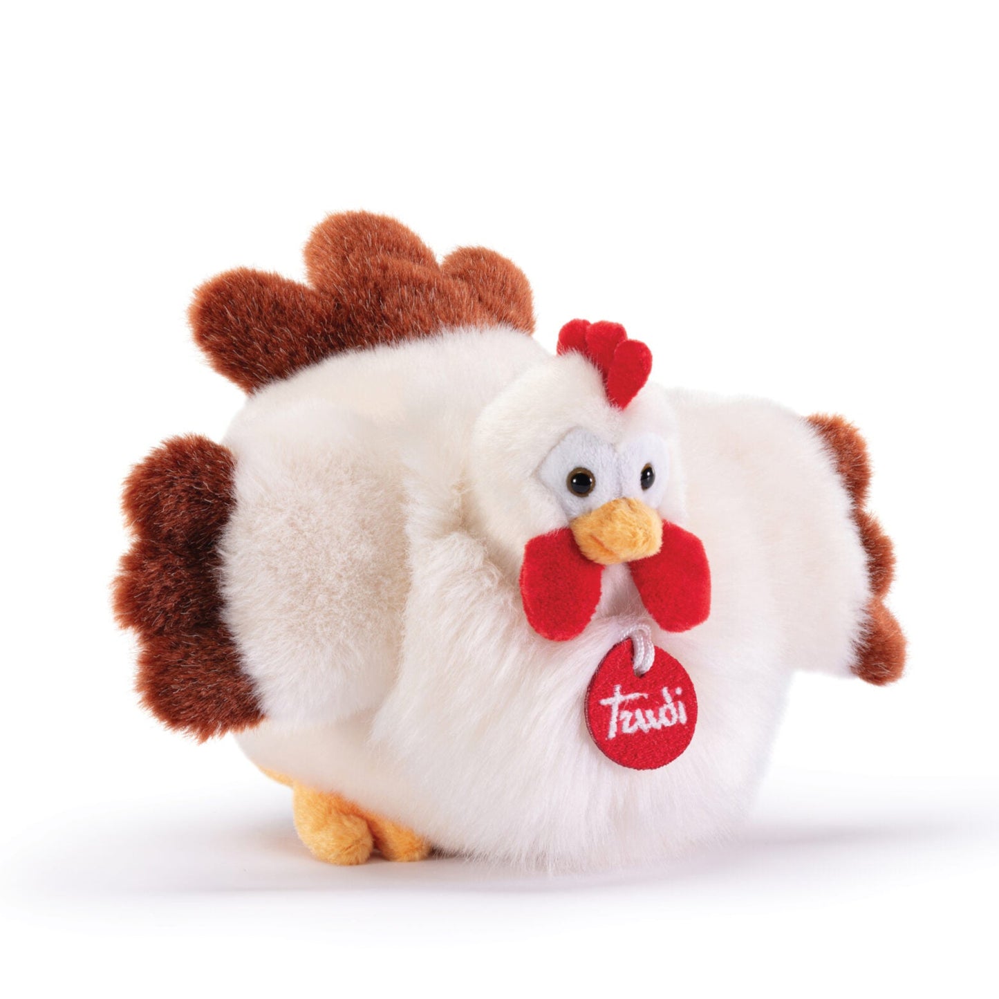 Gallina Daisy S