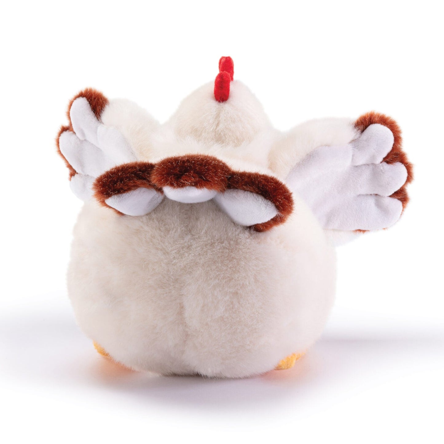 Gallina Daisy S