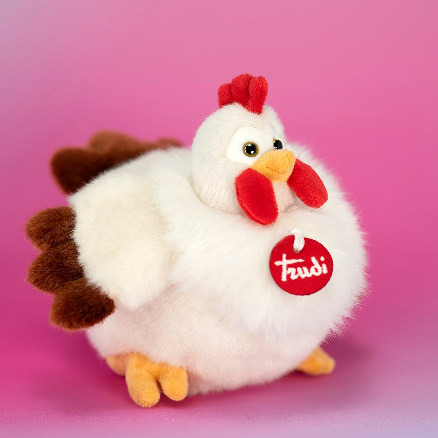 Gallina Daisy S