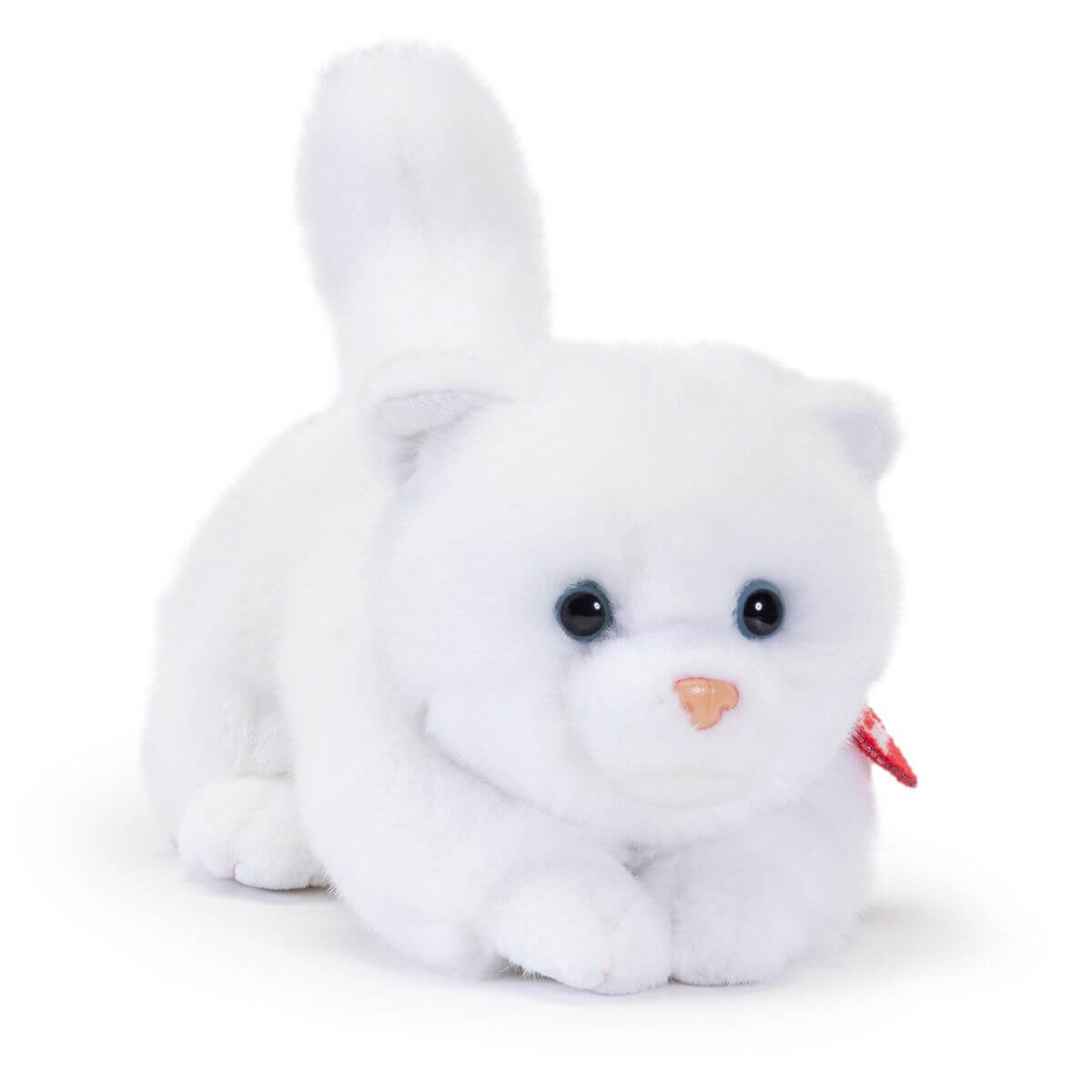 Gatito Brad blanco S