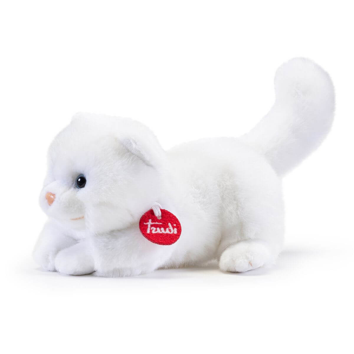 Gatito Brad blanco S