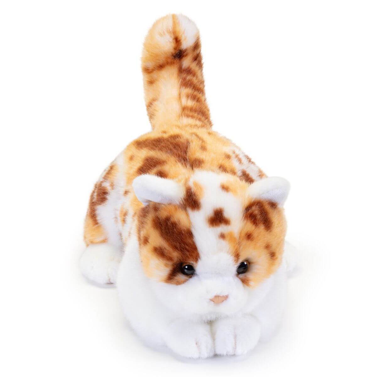 Gatito Brad moteado S