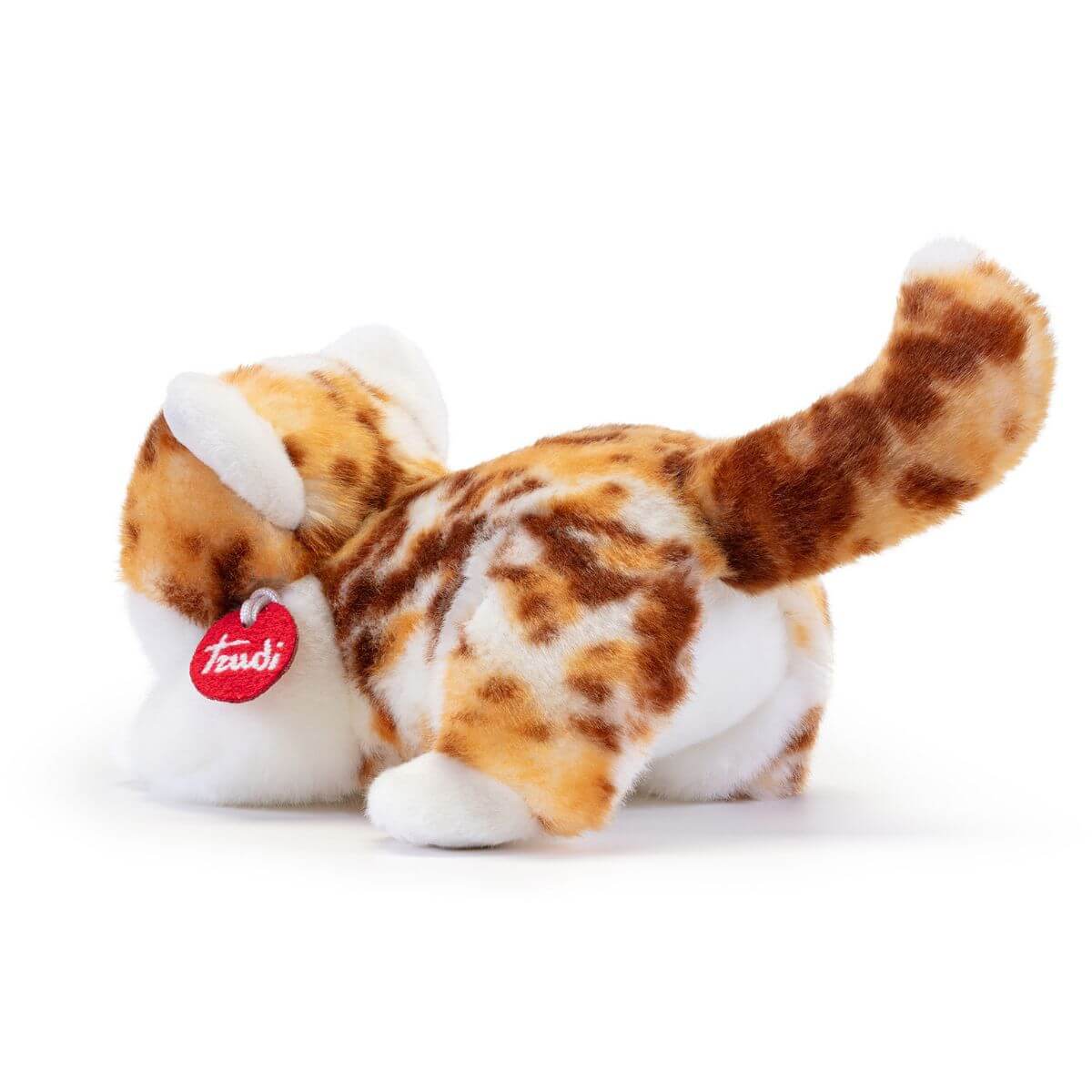 Gatito Brad moteado S