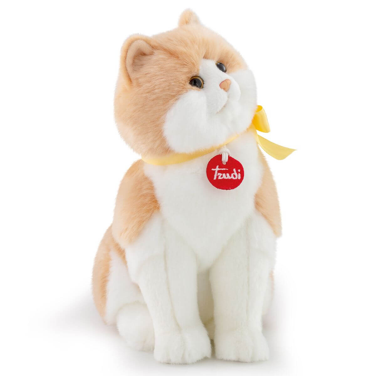 Gato Charlie M