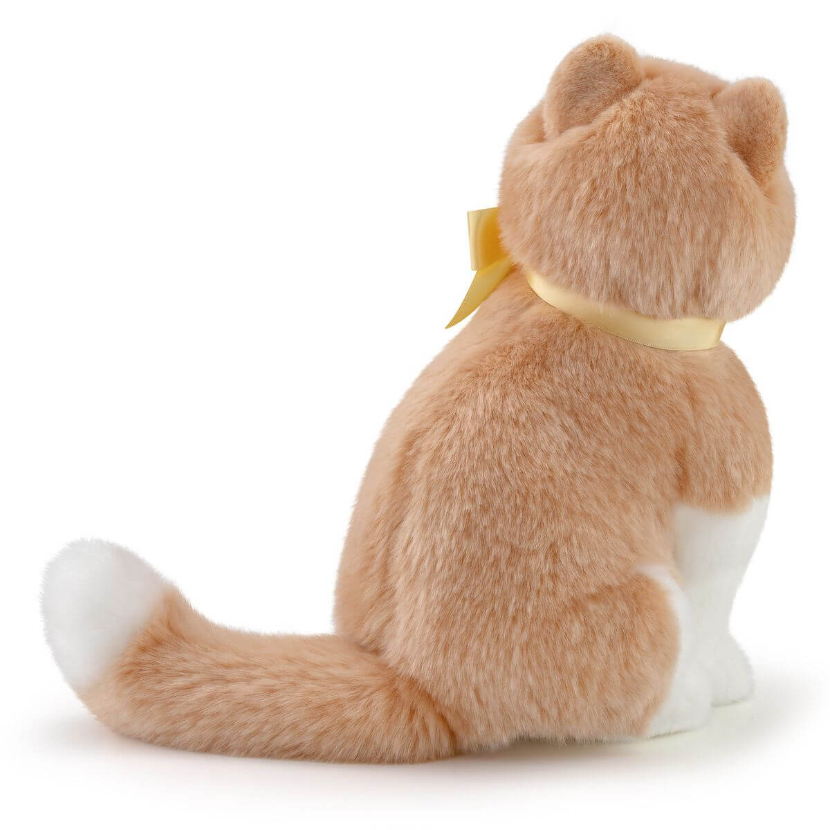 Gato Charlie M
