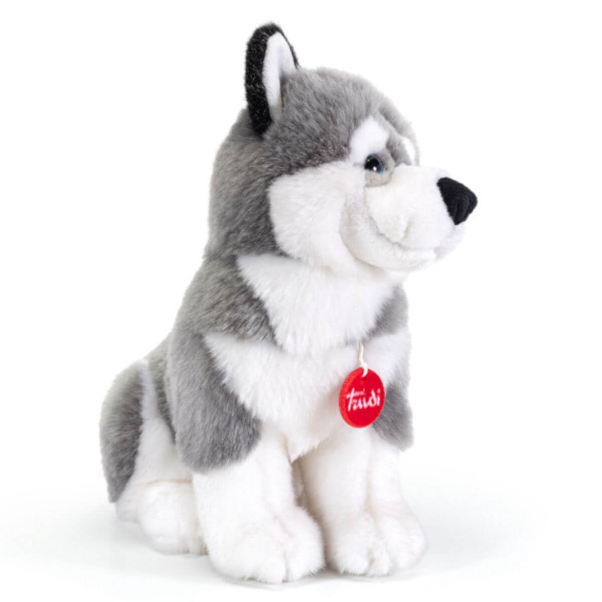 Husky Marcus M