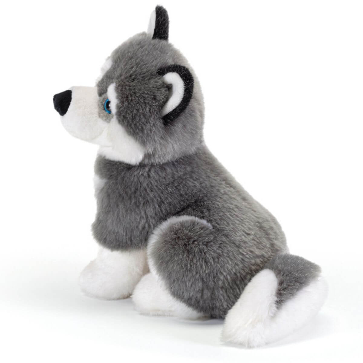 Husky Marcus M