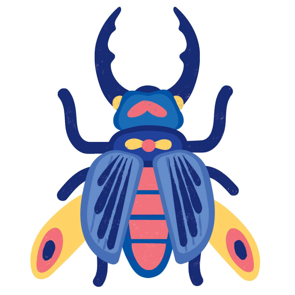 Insects Lover