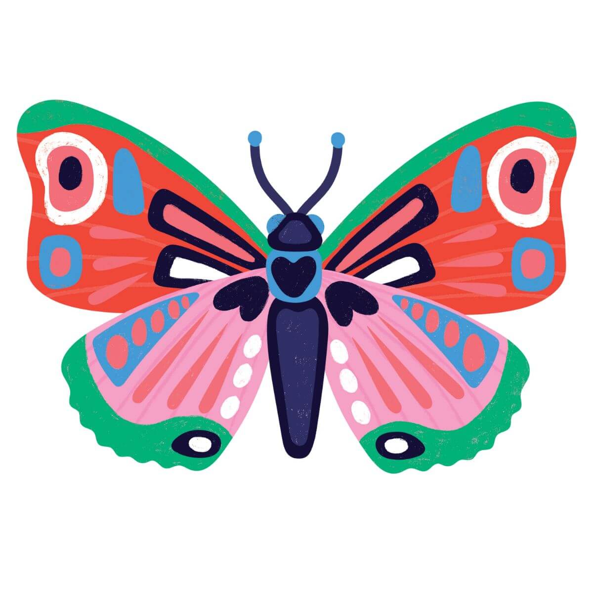 Insects Lover