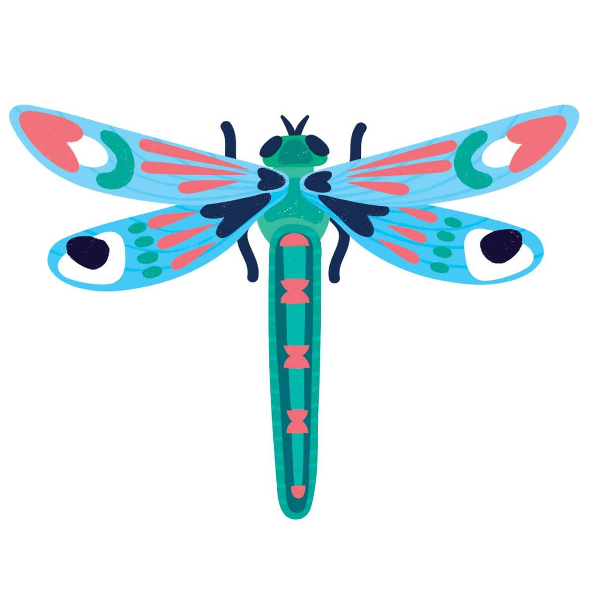 Insects Lover