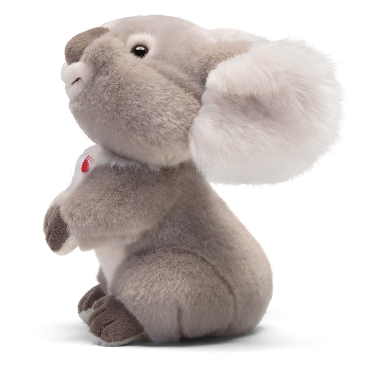 Koala Jamin S