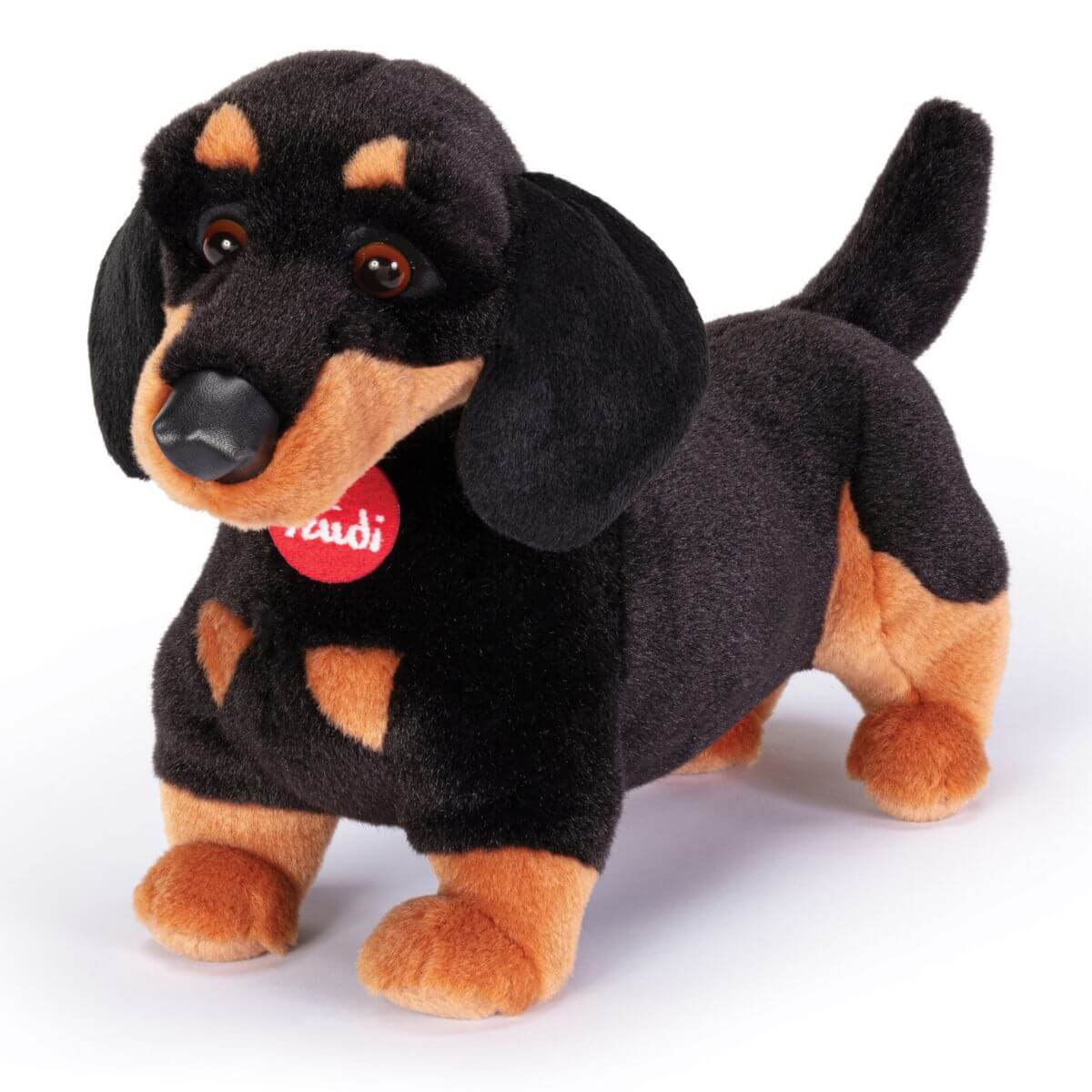 Perro salchicha Leo M