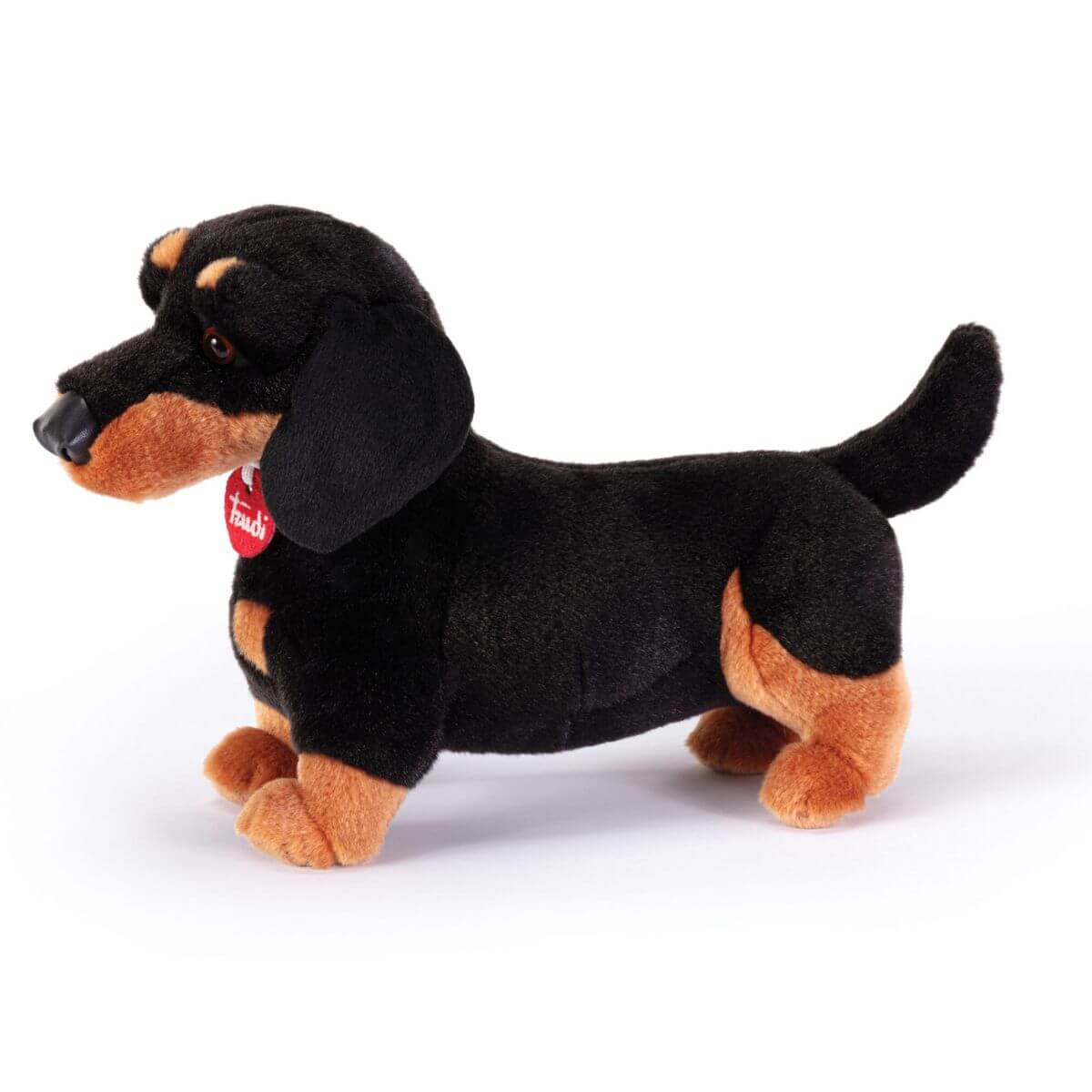 Perro salchicha Leo M