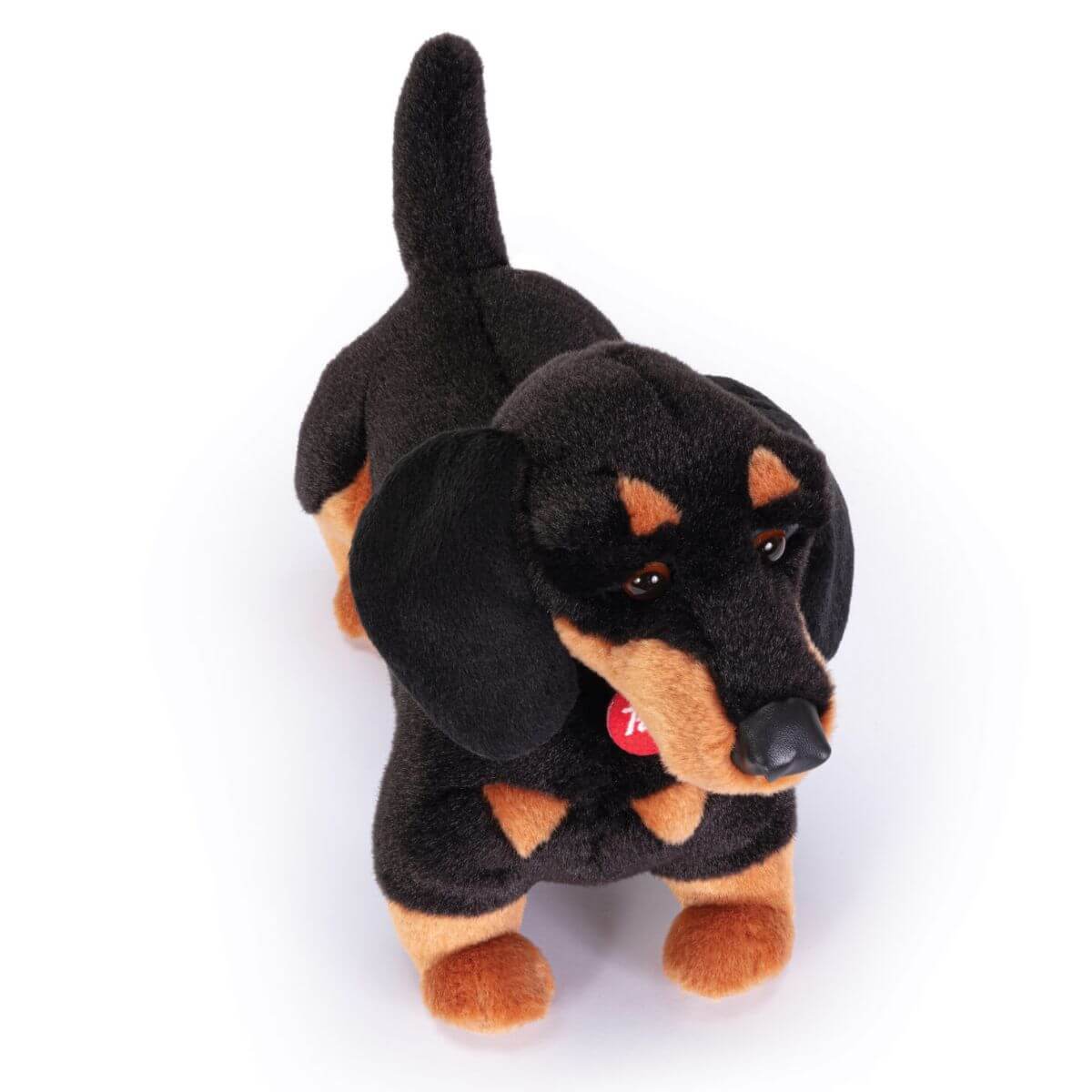 Perro salchicha Leo M