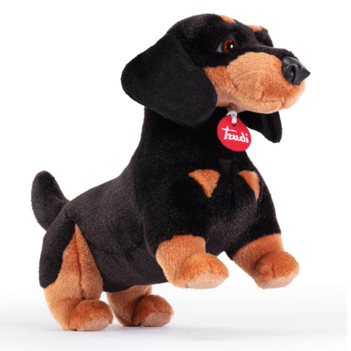 Perro salchicha Leo M