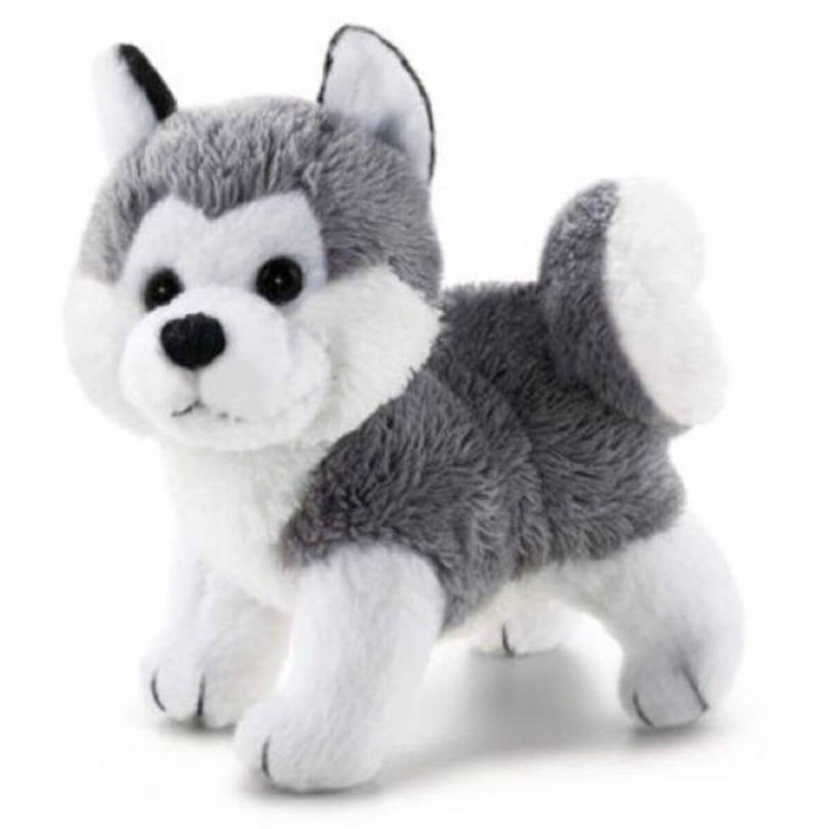 Sweet Col. Husky