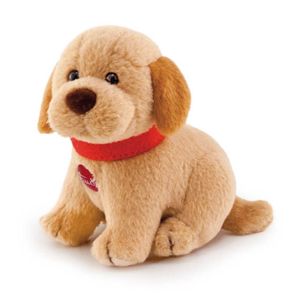 Sweet Col. Labrador