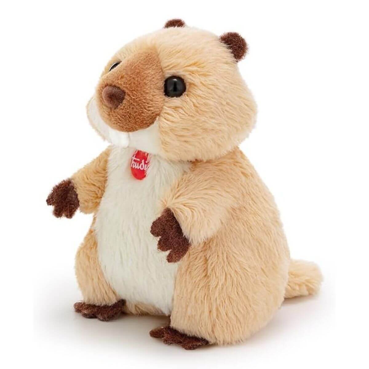 Sweet Col. Marmota