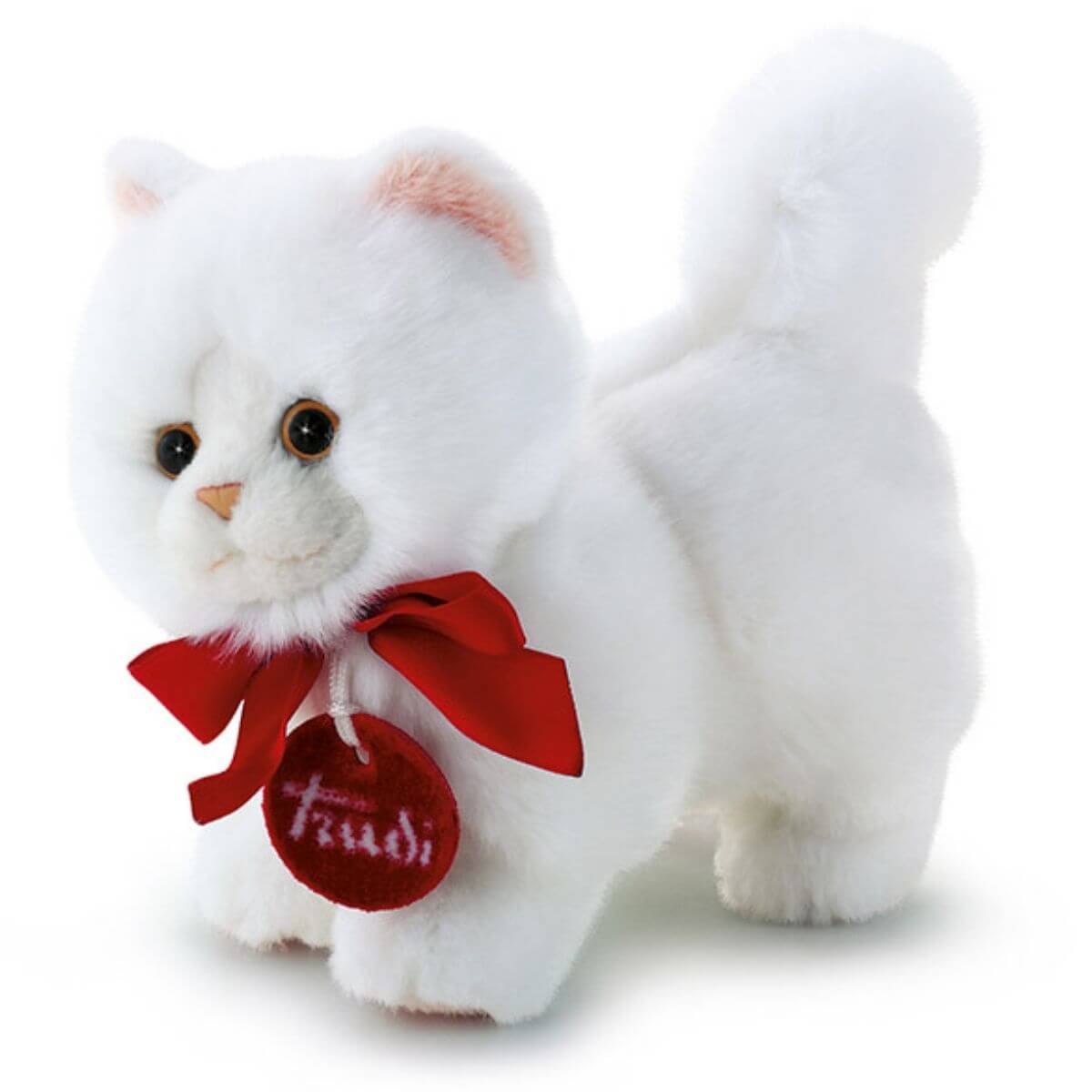 Trudino Gato persa