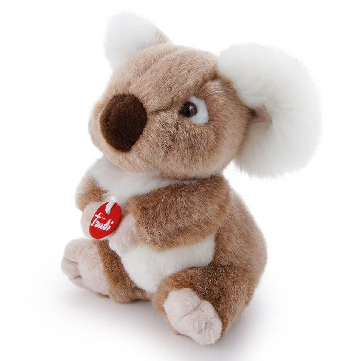 Trudino Koala