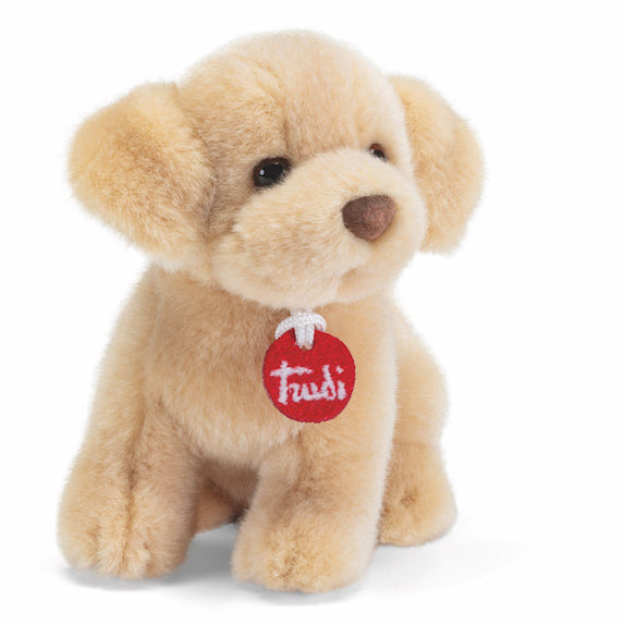 Trudino Labrador