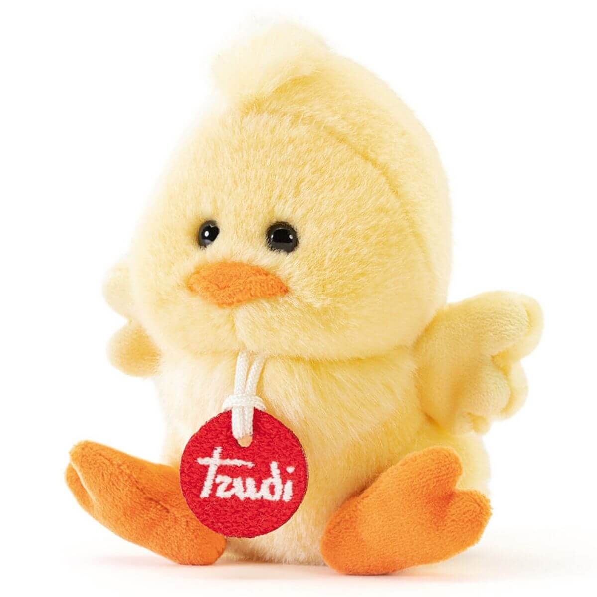 Trudino Pollito