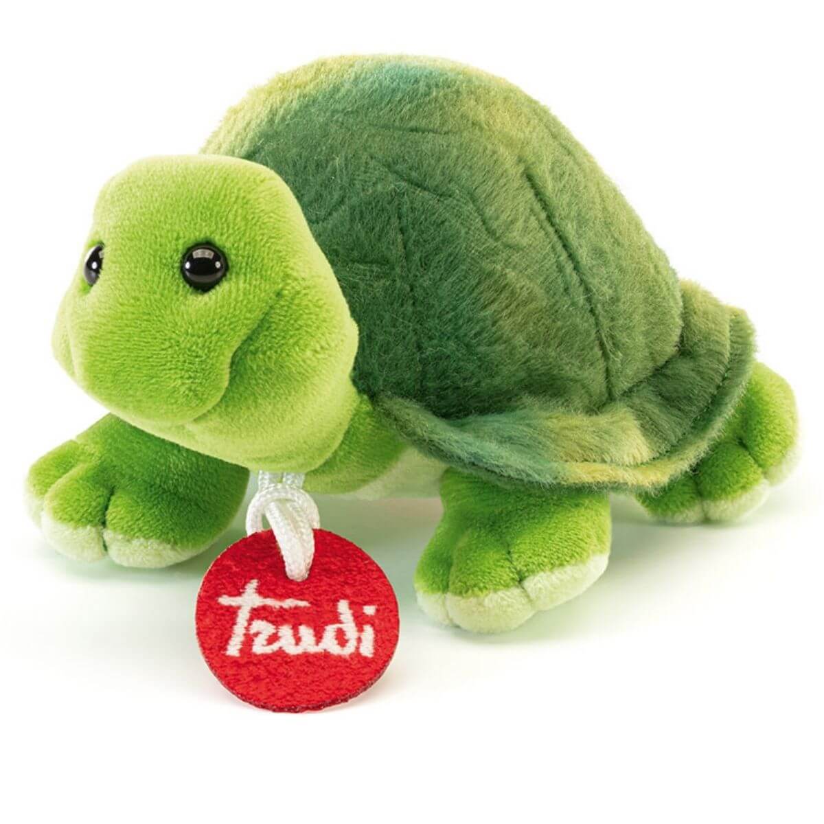 Trudino Tortuga