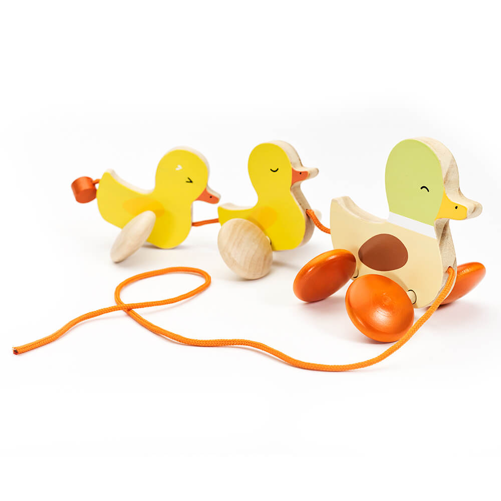 Arrastre Familia de patitos