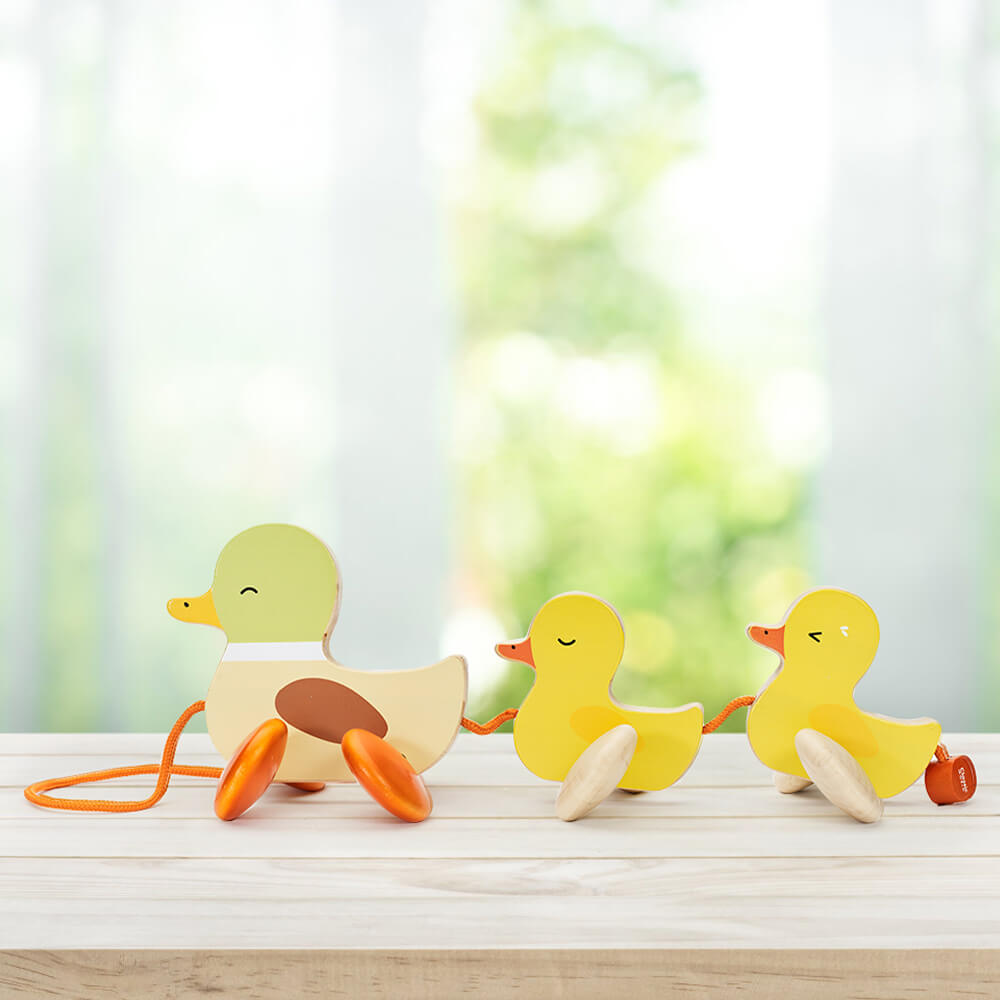 Arrastre Familia de patitos