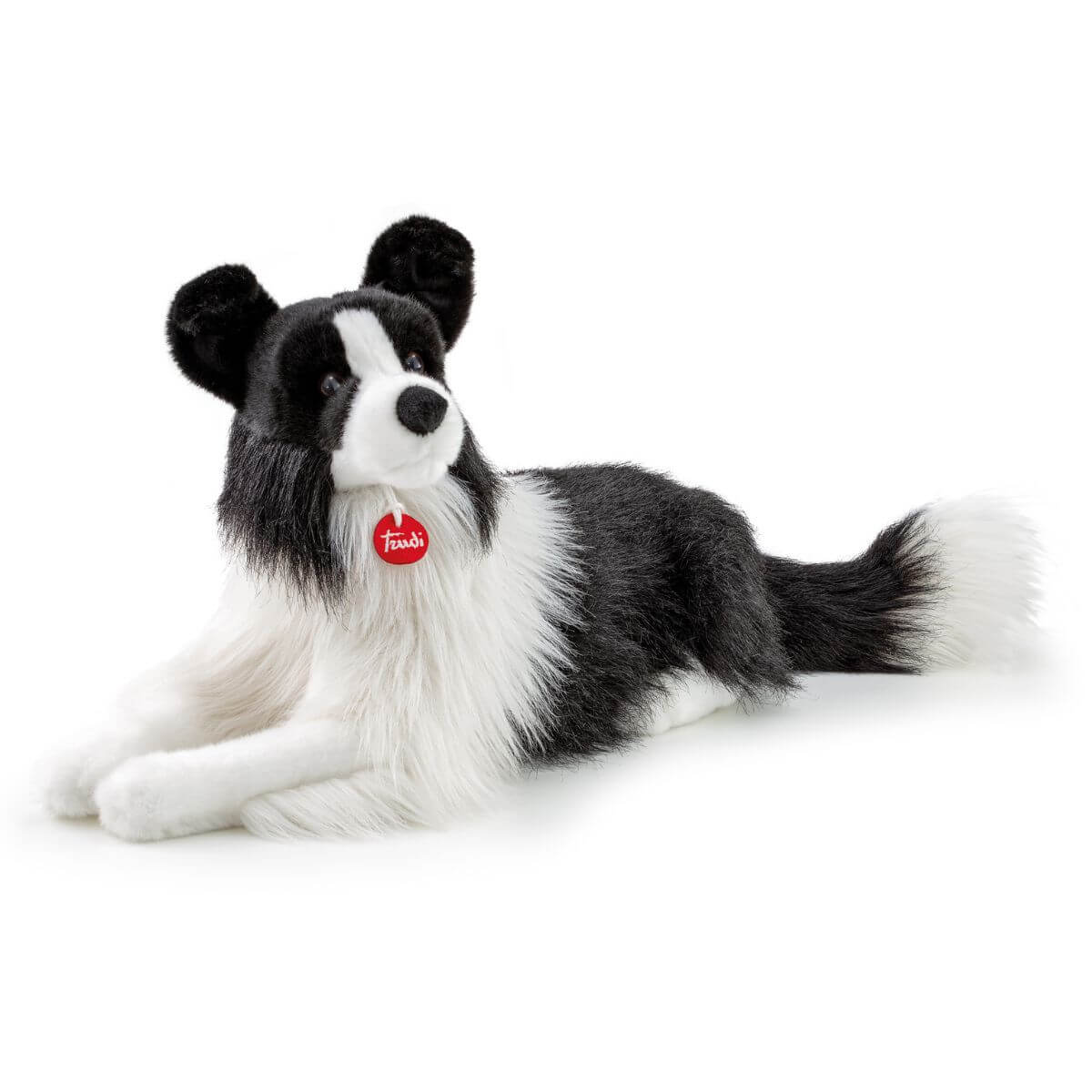 Border Collie Scott XL