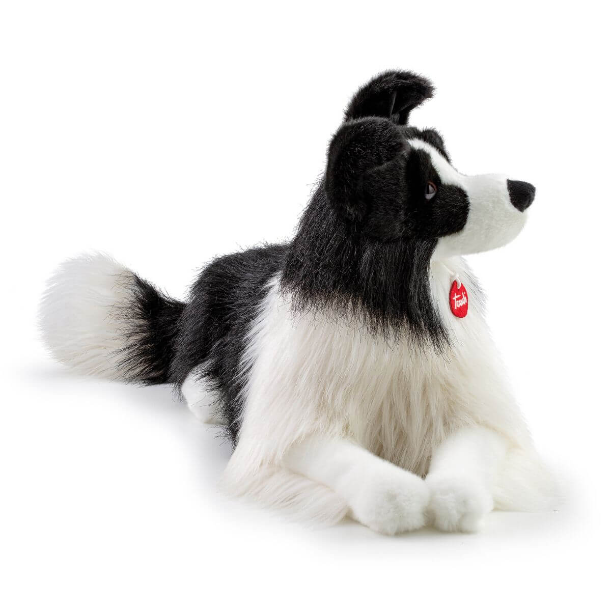 Border Collie Scott XL