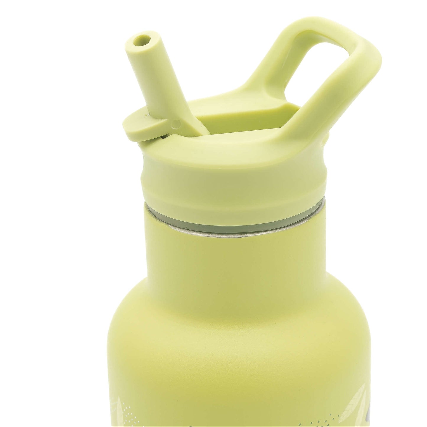 Botella Térmica Acero Inox Dinosaurio