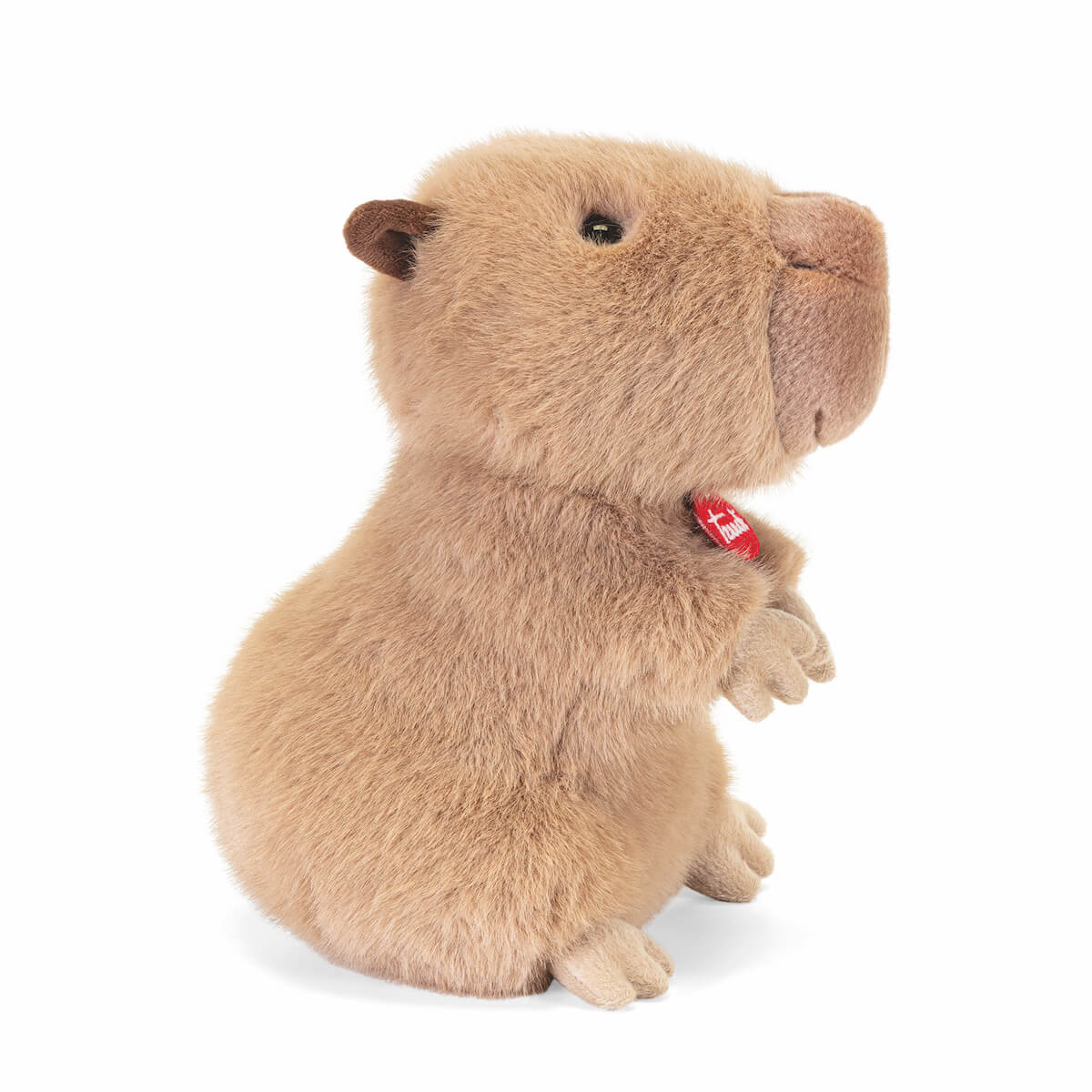 Capibara Furio M