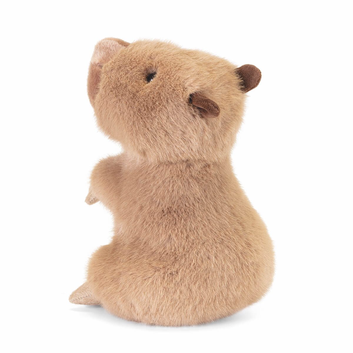 Capibara Furio M