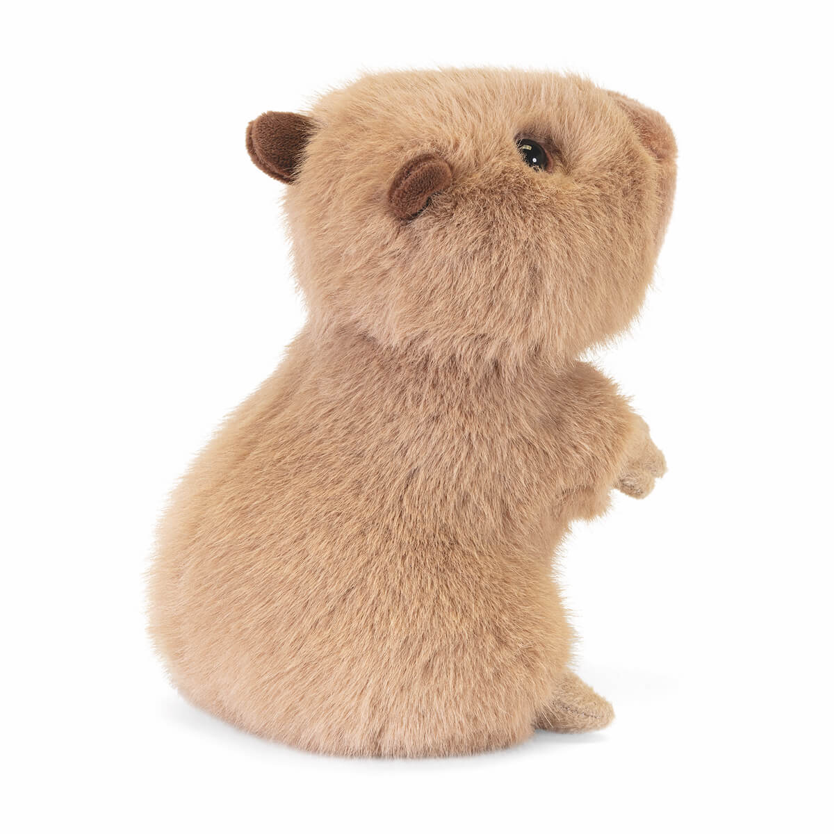Capibara Furio S