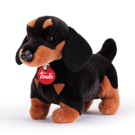 Perro salchicha Leo S