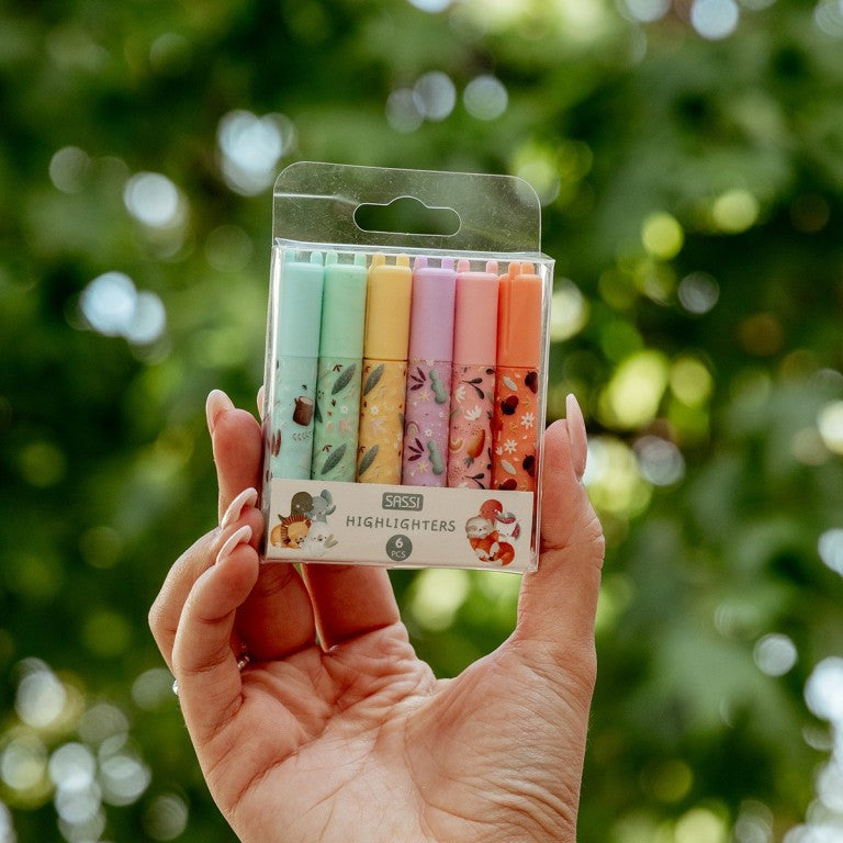Set de 6 Mini Subrayadores