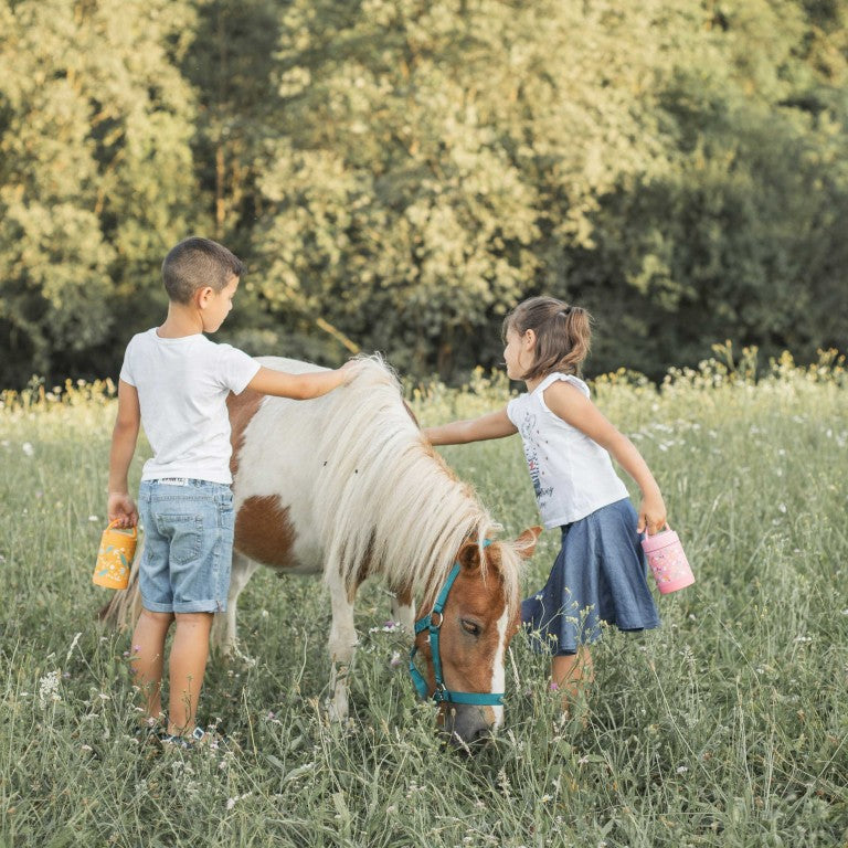 Termo comida 350ml León