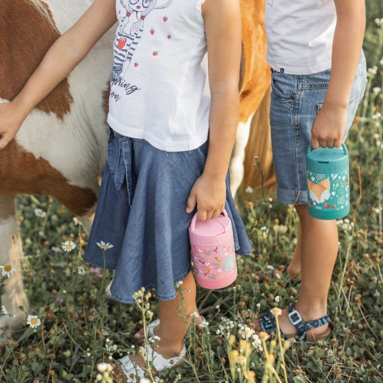 Termo comida 350ml Zorro