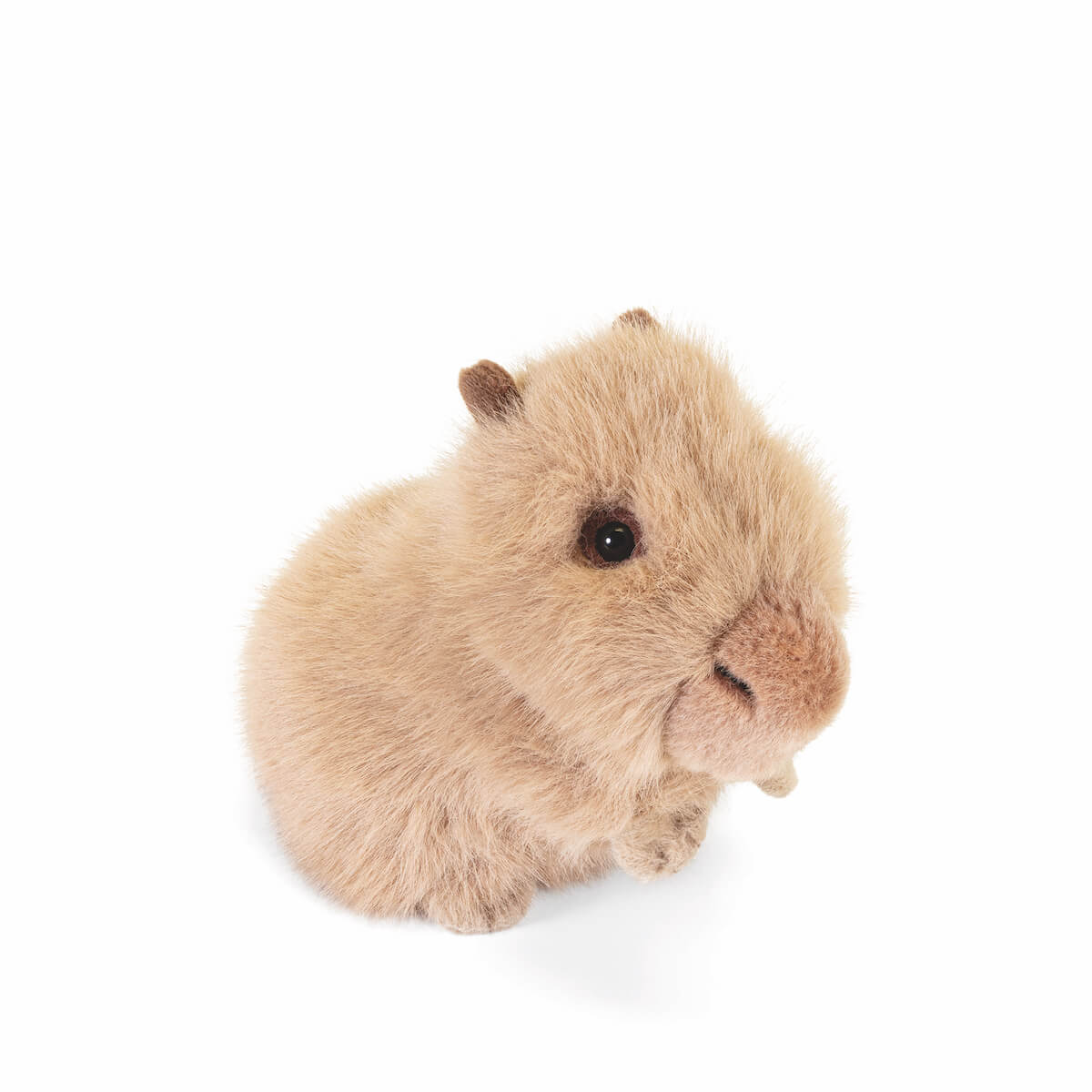Trudino Capibara
