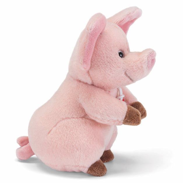Trudino Cerdo