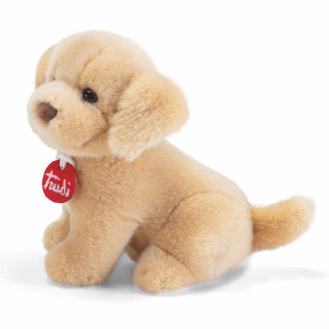 Trudino Labrador